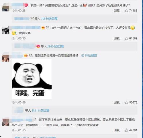 吴瑾言最新爆料视频播放,幕后故事大公开  第2张 吴瑾言最新爆料视频播放,幕后故事大公开  第2张