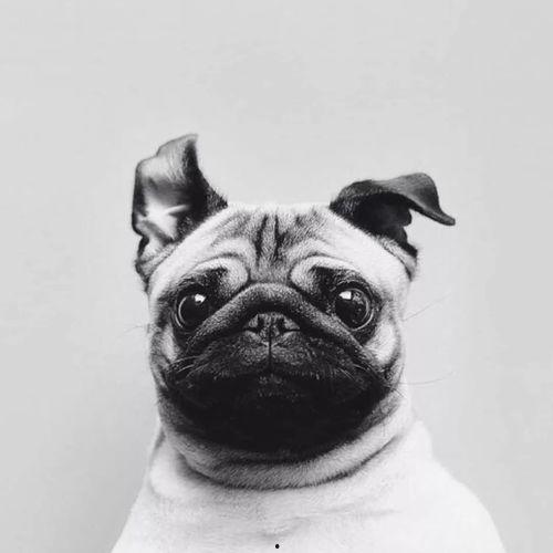 巴哥新爆料明哥视频大全,揭秘明哥视频大全背后的惊人真相  第2张 巴哥新爆料明哥视频大全,揭秘明哥视频大全背后的惊人真相  第2张