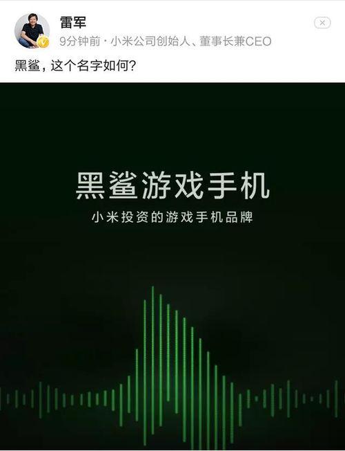 雷军爆料新手机最新消息,全新旗舰手机即将亮相,颠覆性技术引领行业潮流!”  第2张 雷军爆料新手机最新消息,全新旗舰手机即将亮相,颠覆性技术引领行业潮流!”  第2张