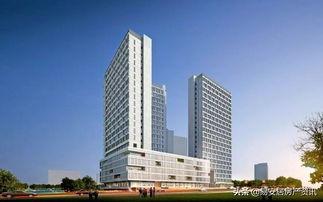 深圳公明最新爆料,揭秘神秘项目背后的真相  第2张 深圳公明最新爆料,揭秘神秘项目背后的真相  第2张