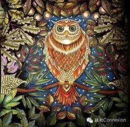 秘密花园在线观看,揭秘秘密花园在线观看之旅  第2张 秘密花园在线观看,揭秘秘密花园在线观看之旅  第2张